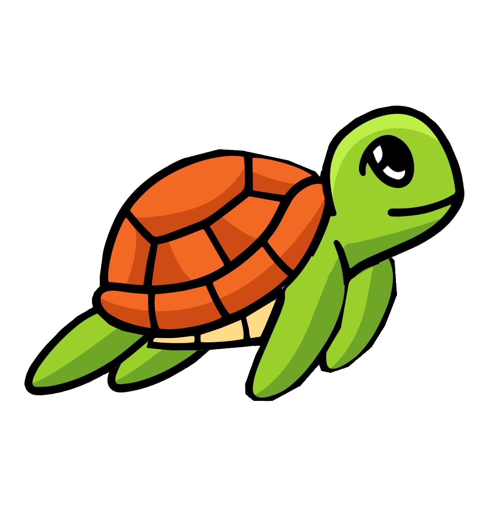 turtle